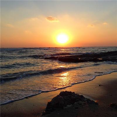 米博体育官方网站入口下载